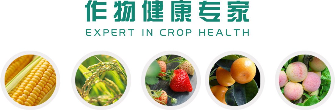 可结合站内栏目与相关篇目一并浏览