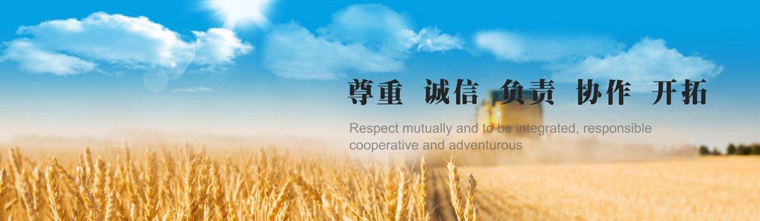 中农立华登上央视《新闻联播》