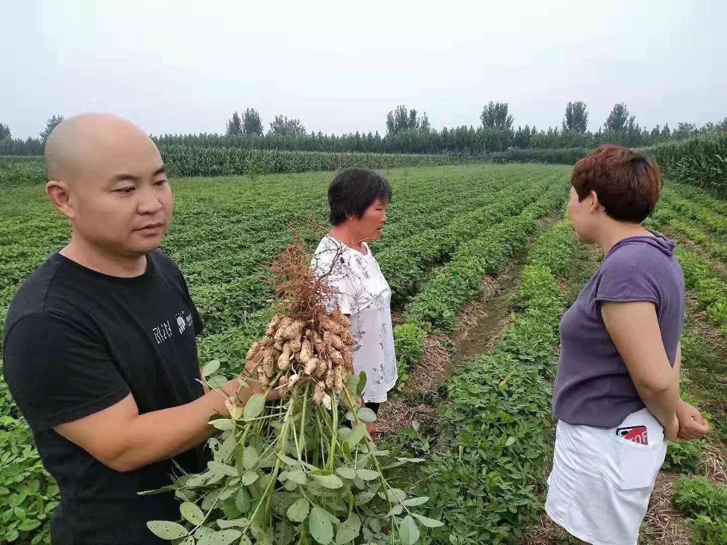 网站首页 · zhuanti · 新