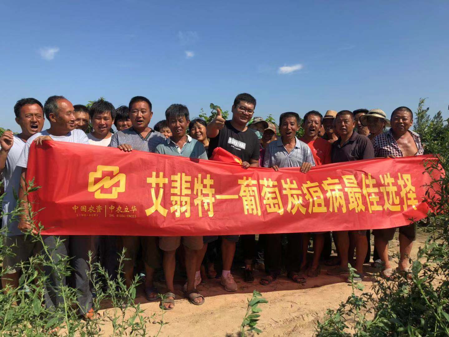 对照阅读