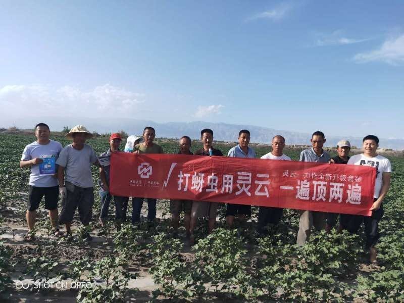 文内链接用于对照细节