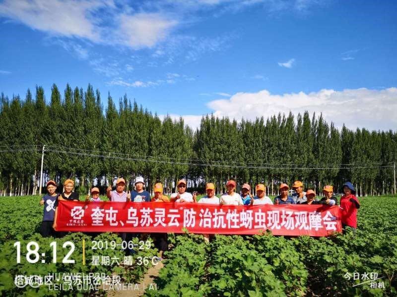 继续浏览两者配合可减少漏读与重复检索