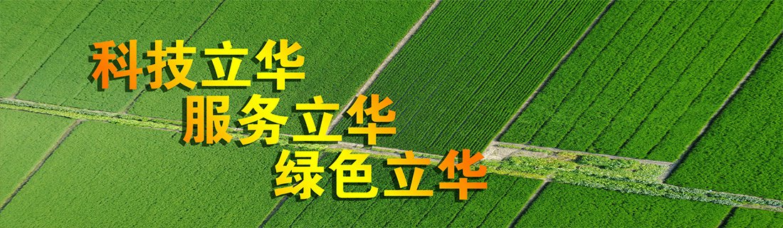 2023年11月29日