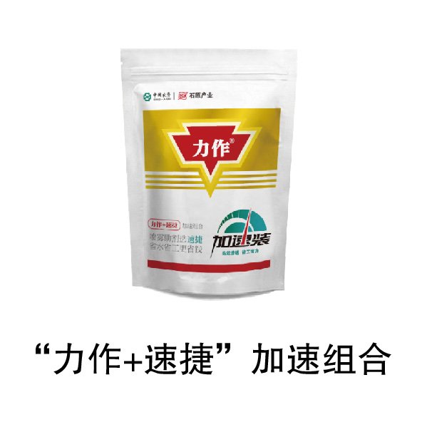 可先确认当前栏目名称