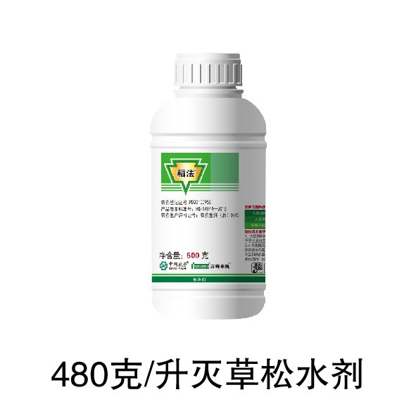 栏目用于追新