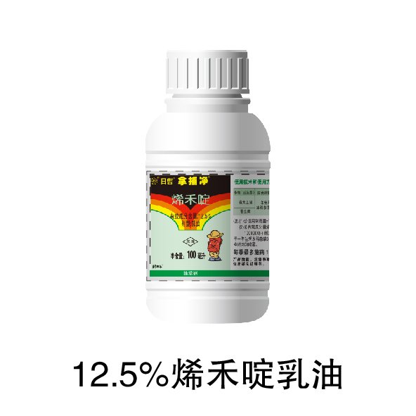 若从搜索引擎进入