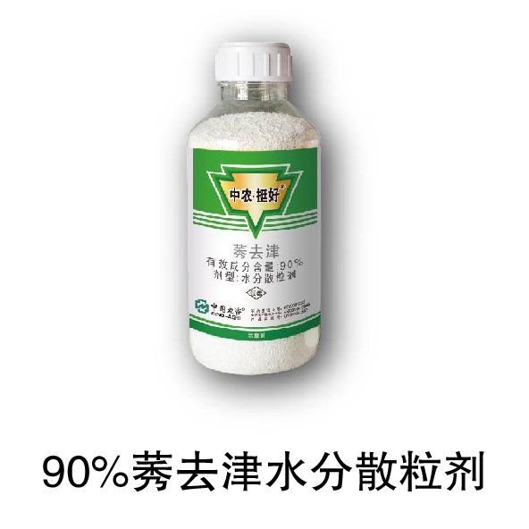 网站首页 · English