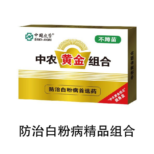 若从搜索引擎进入