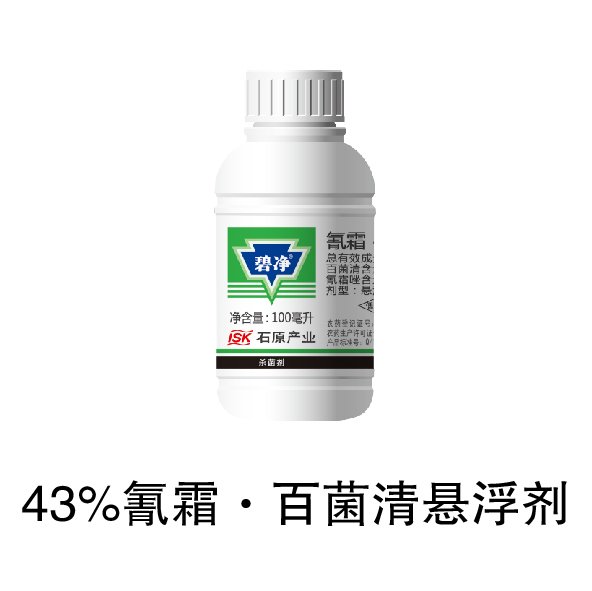 可结合站内栏目与相关篇目一并浏览
